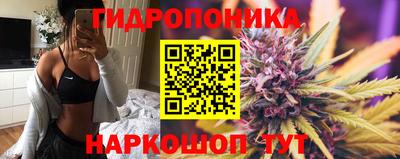 дживик Кинель