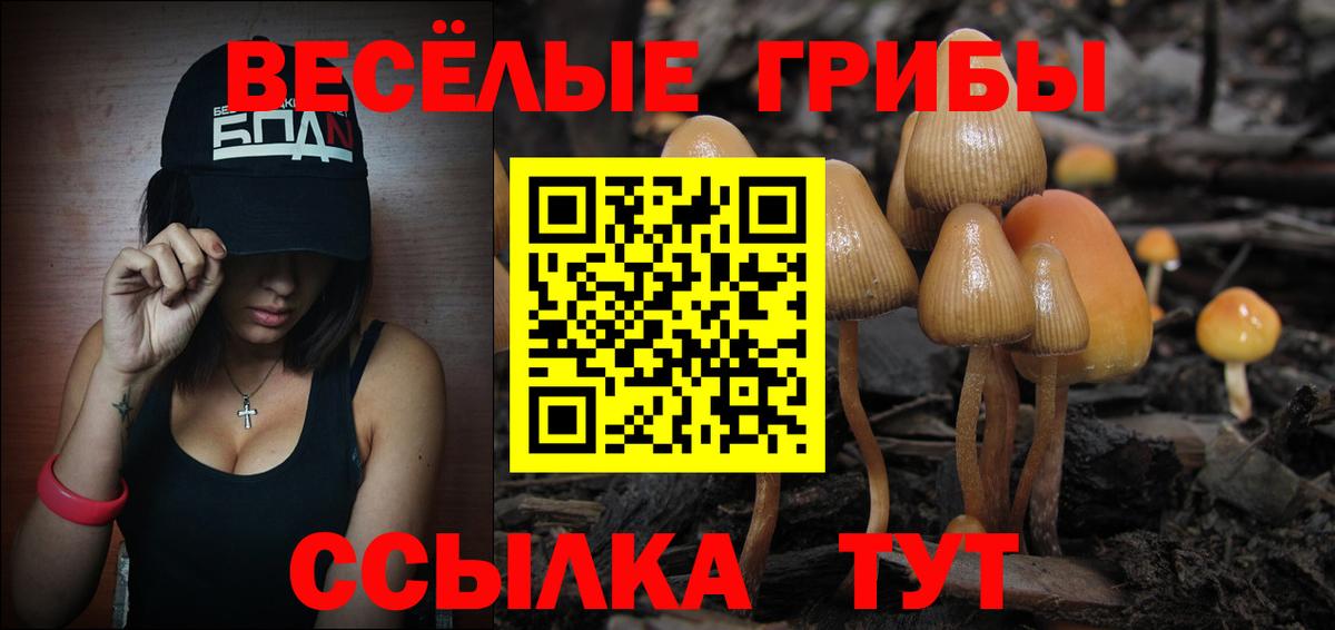 Псилоцибиновые грибы ЛСД  Вход с VPN  Киров  Галлюциногенные грибы мухоморы 